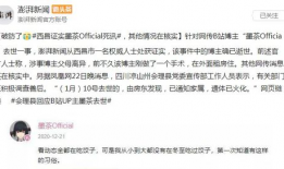 b站娱乐圈吃瓜,b站吃瓜指南，揭秘明星幕后故事