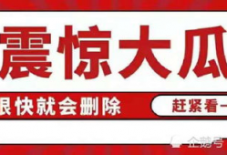 娱乐圈八卦文件吃瓜