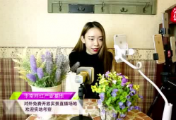 麻豆播播,揭秘网红直播背后的魅力与挑战