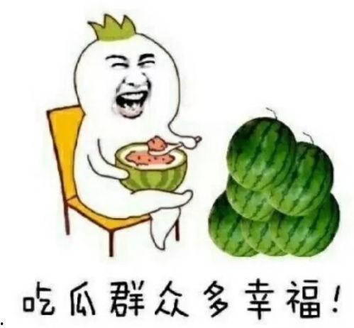吃瓜娱乐圈小羊